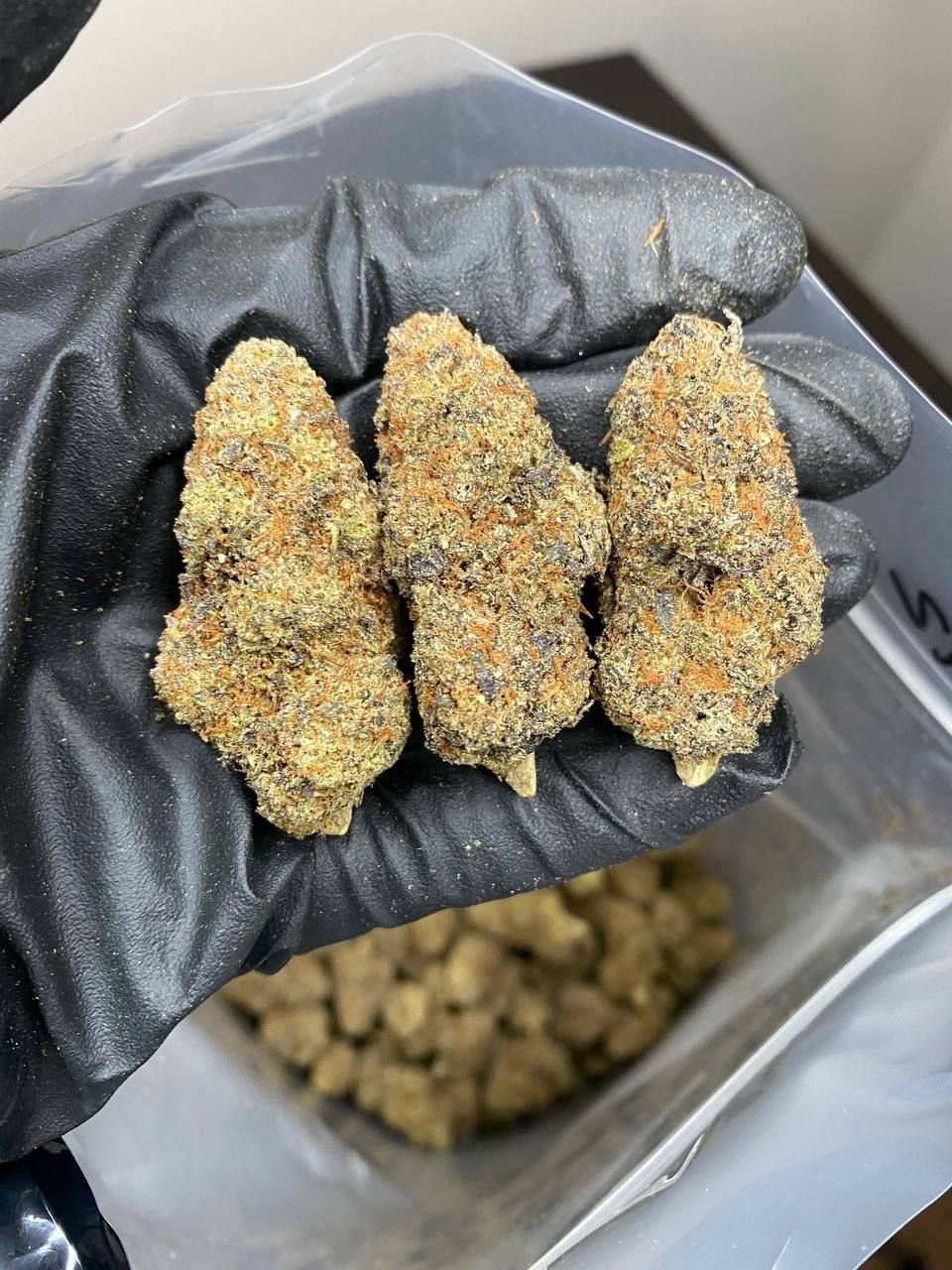 Buy Weed Online in Stoke - Image 5