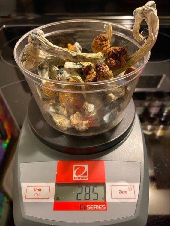 Buy Mushrooms Stoke Online - Image 6